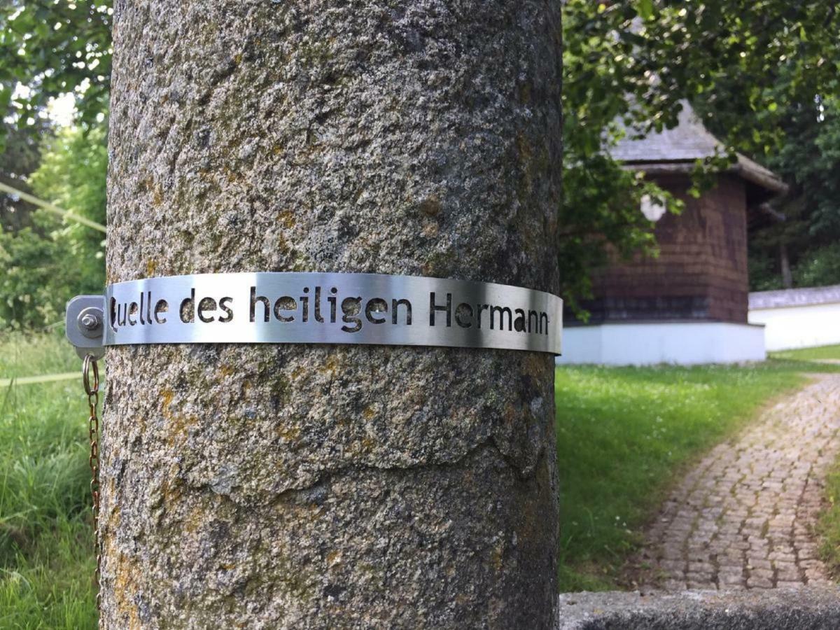 Ferienwohnung Hubertus Bischofsmais Exteriör bild