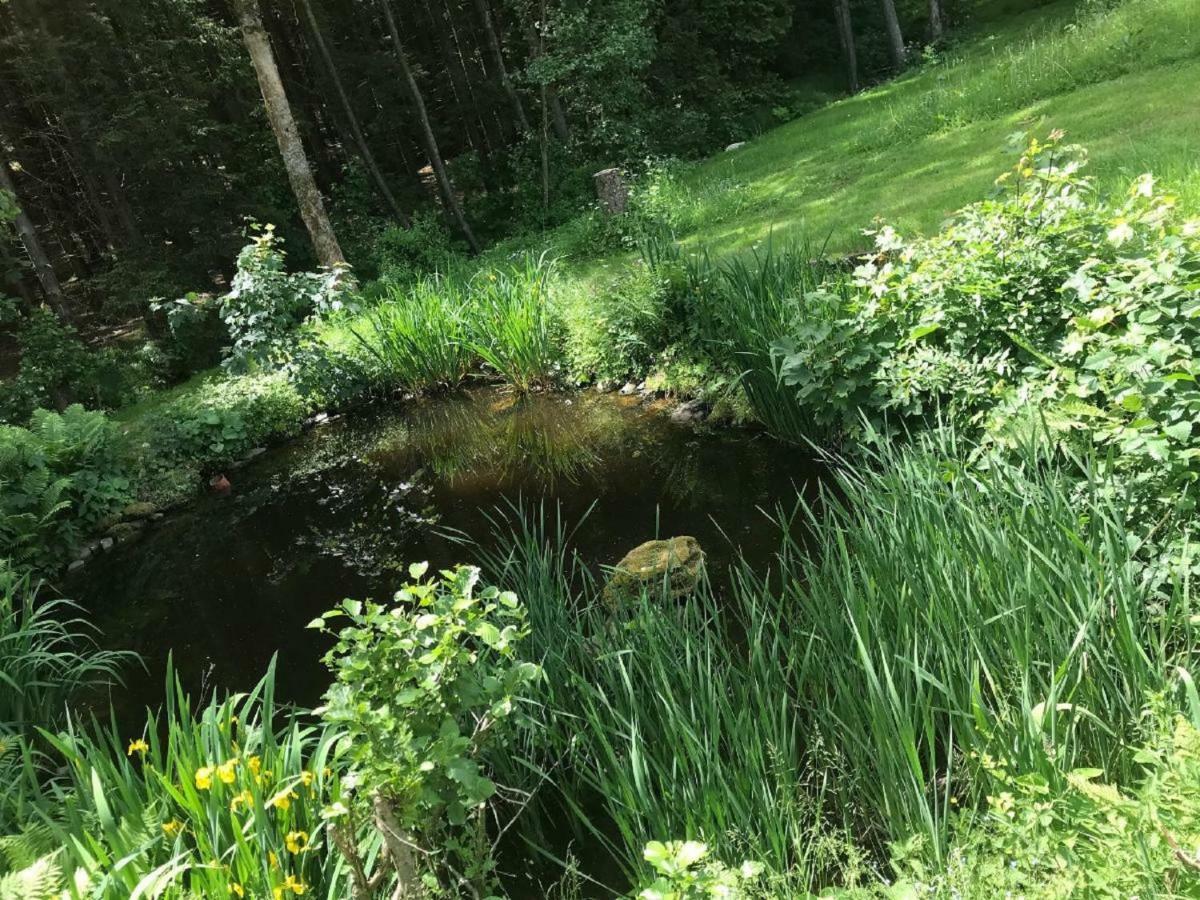 Ferienwohnung Hubertus Bischofsmais Exteriör bild