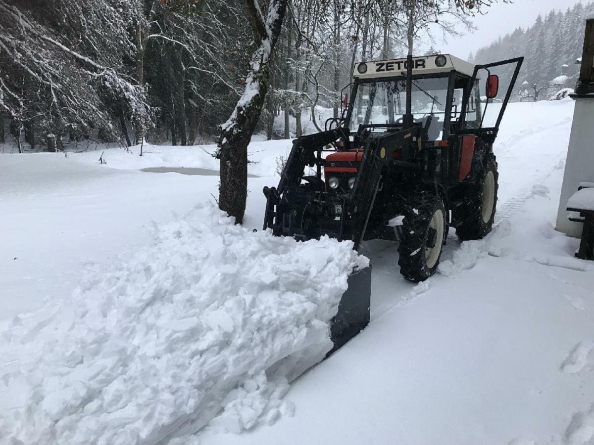 Ferienwohnung Hubertus Bischofsmais Exteriör bild